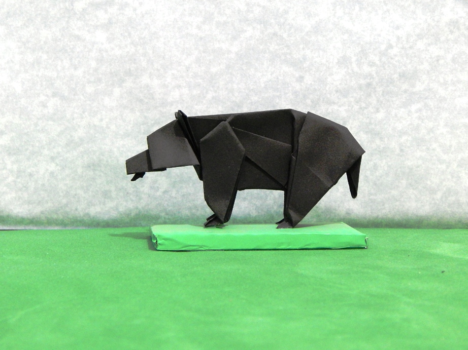 072_Oso Negro